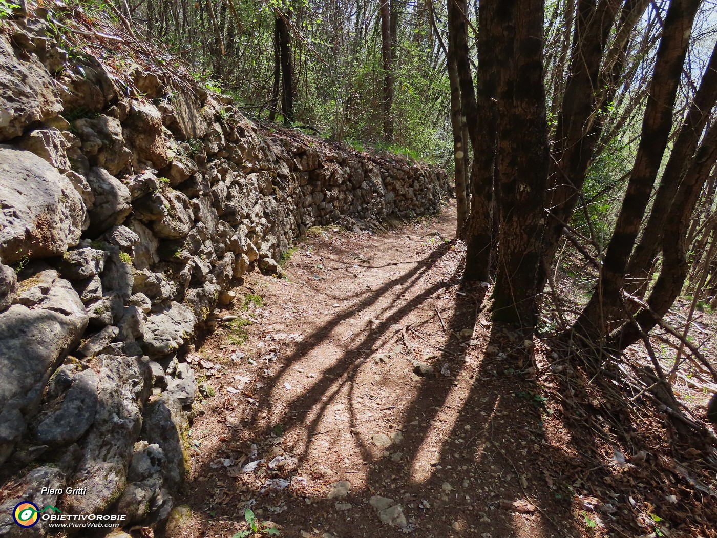 68 A monte alti muri di sostegno a secco.JPG